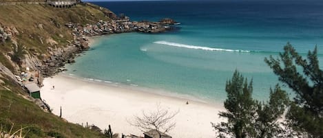 Playa en los alrededores y camastros 