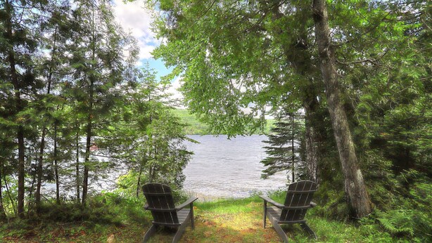 Two Adirondack chairs facing a lake surrounded by dense forest. - Greenvale Cove 8 - Greenvale Cove cottage community on Rangeley Lake (Rangeley)