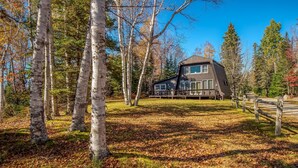Una casa moderna envoltada per un bosc de bedolls i un cel blau clar.