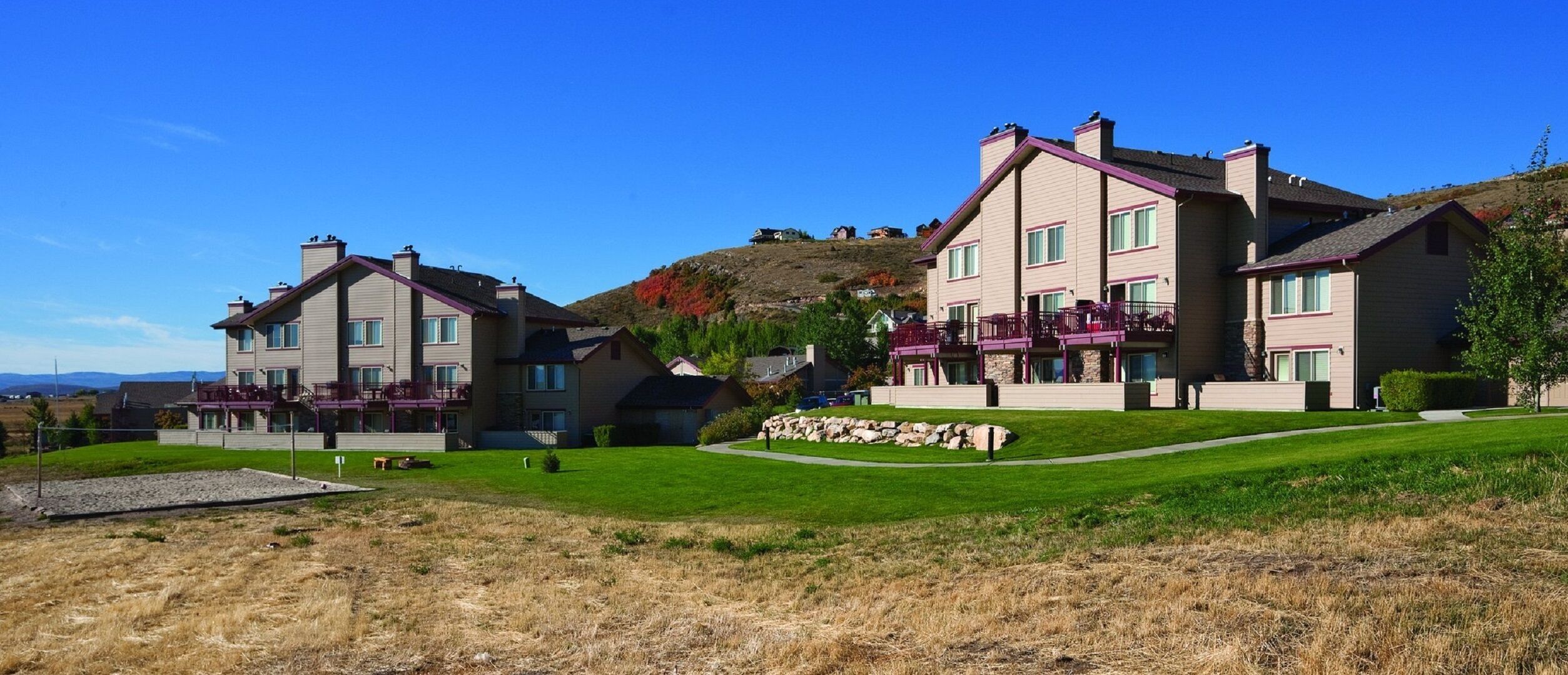 You have to see it to believe it !