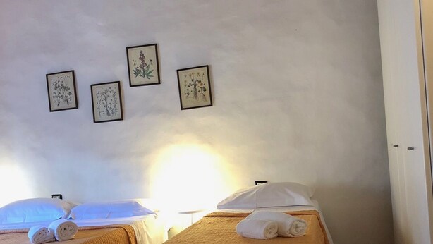 Dos camas individuales con cubrecamas color beige, una pared blanca con cuatro láminas botánicas enmarcadas y un techo de madera.