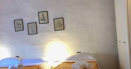 Vellutini Number One