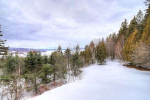 Paisagem nevada com árvores perenes densas e vista clara de montanhas distantes.
