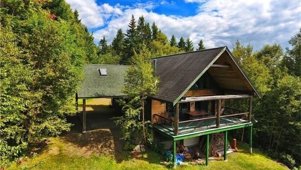 Una cabaña con techo verde y terraza de madera, rodeada de un bosque denso.