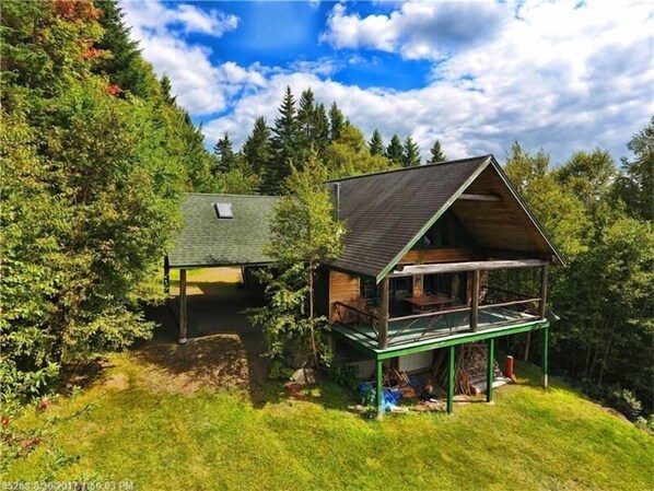 Una cabaña con techo verde y terraza de madera, rodeada de un bosque denso.