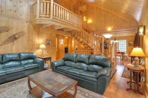 Televisión, chimenea, reproductor de DVD