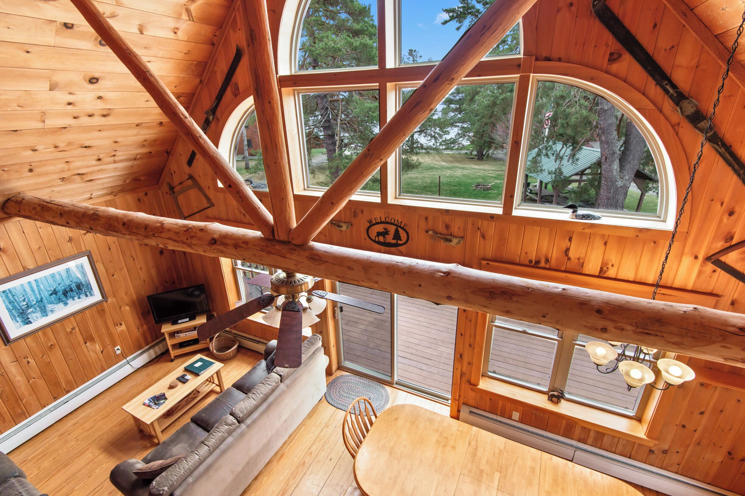 電視、DVD 播放機、書籍、影像庫