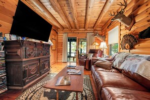 Smart TV, fireplace, DVD player, stereo