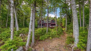 A cabin surrounded by dense forest, accessible by a wooden deck.