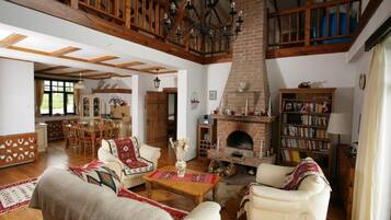 TV, fireplace, DVD player, books