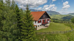 Ulkopuoli