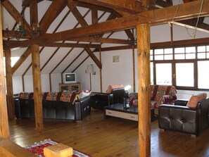 TV, fireplace, DVD player, books