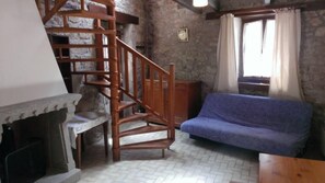 TV, fireplace, books