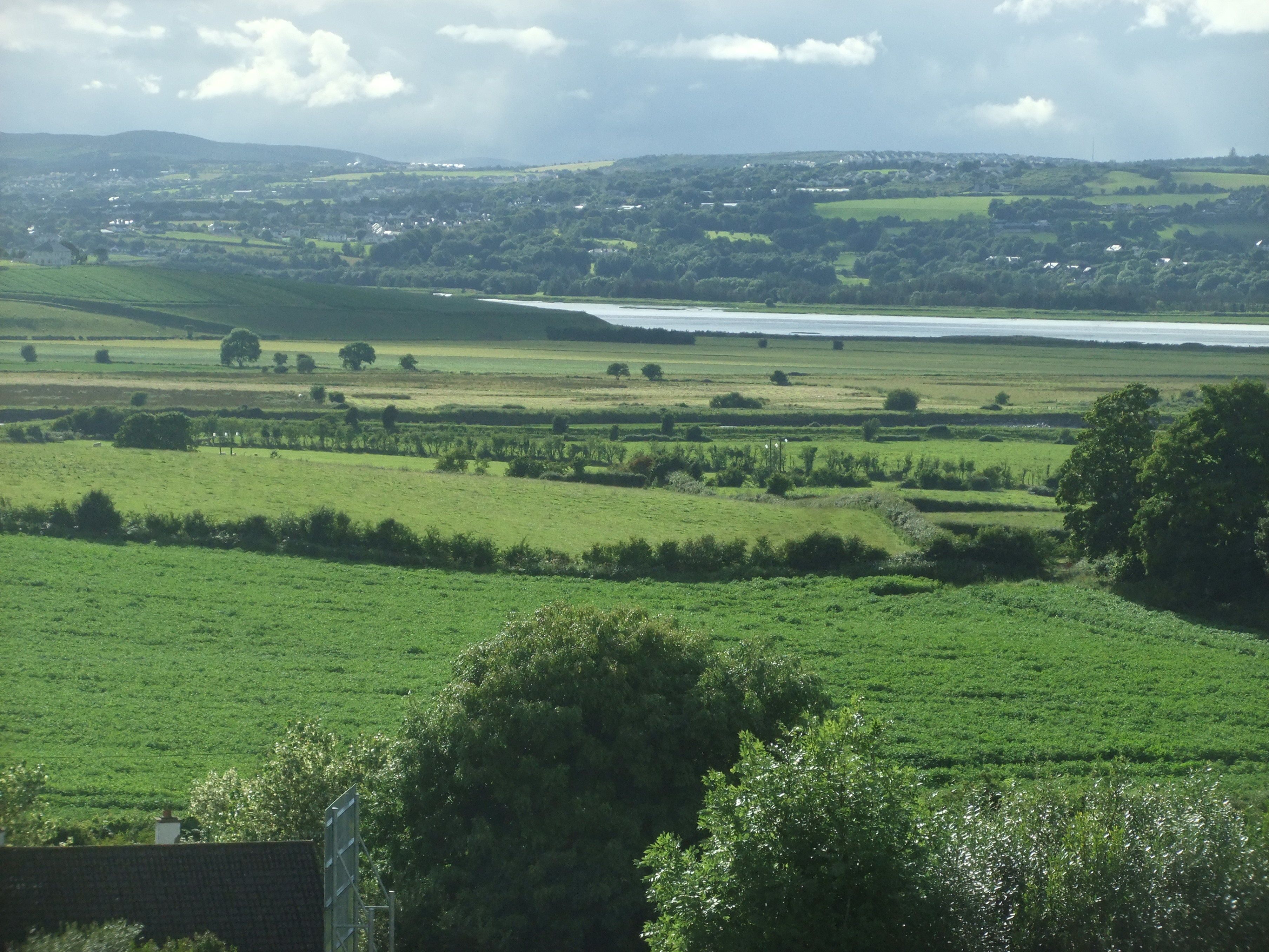 A rural landscape with fields, trees, and a distant body of water.