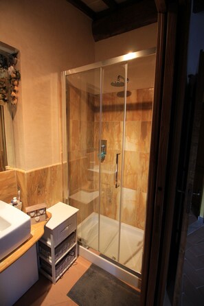Shower, hair dryer, bidet, towels