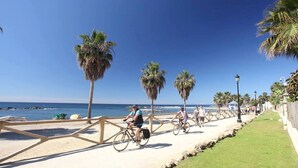 En kyststi med palmer, cykelsti og udsigt over havet.