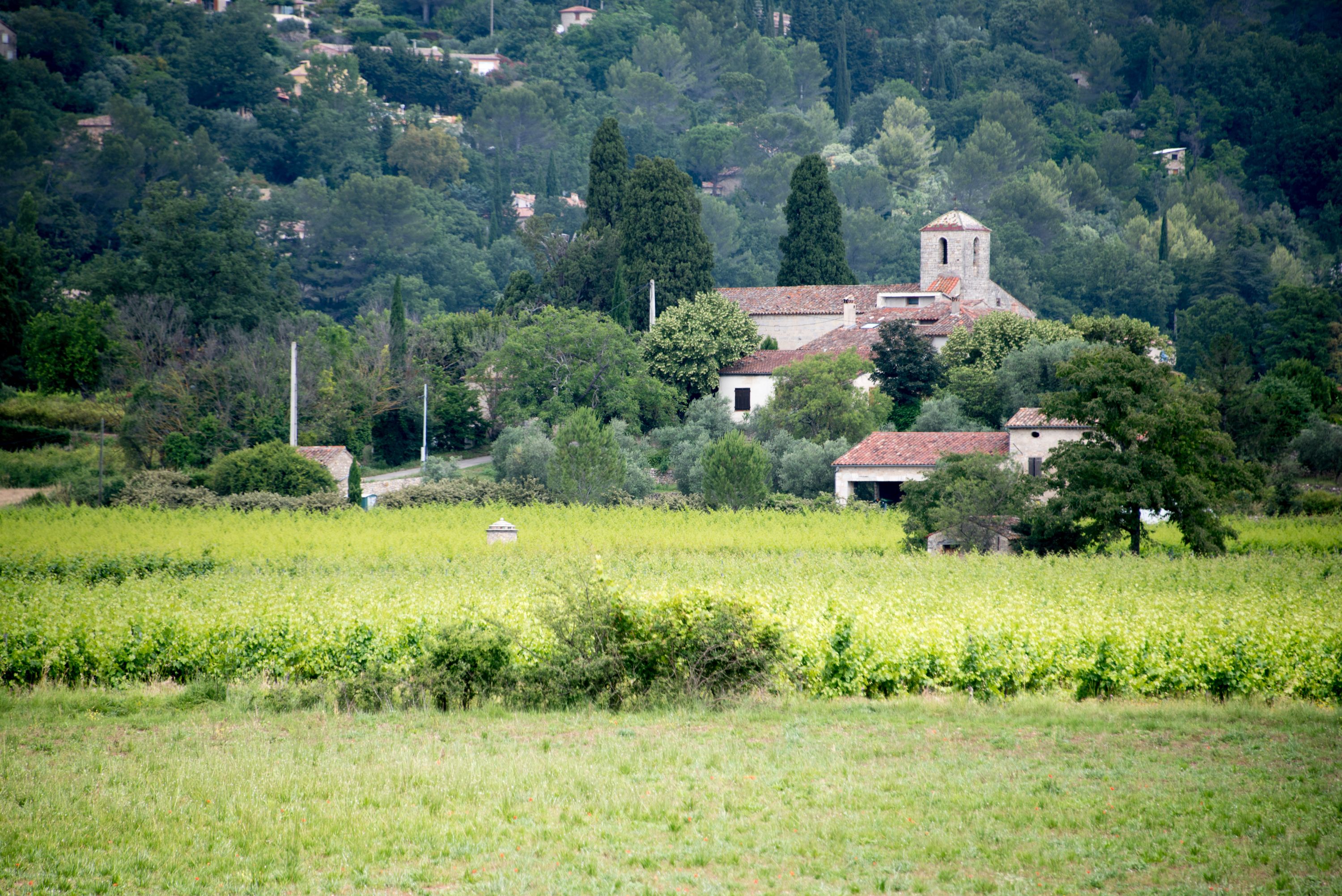 A rural landscape with a church and surrounding buildings, fields, and dense forest.