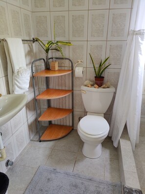 A bathroom with a toilet, sink, and shelves with plants. - Louislyn Apartments (Portsmouth)