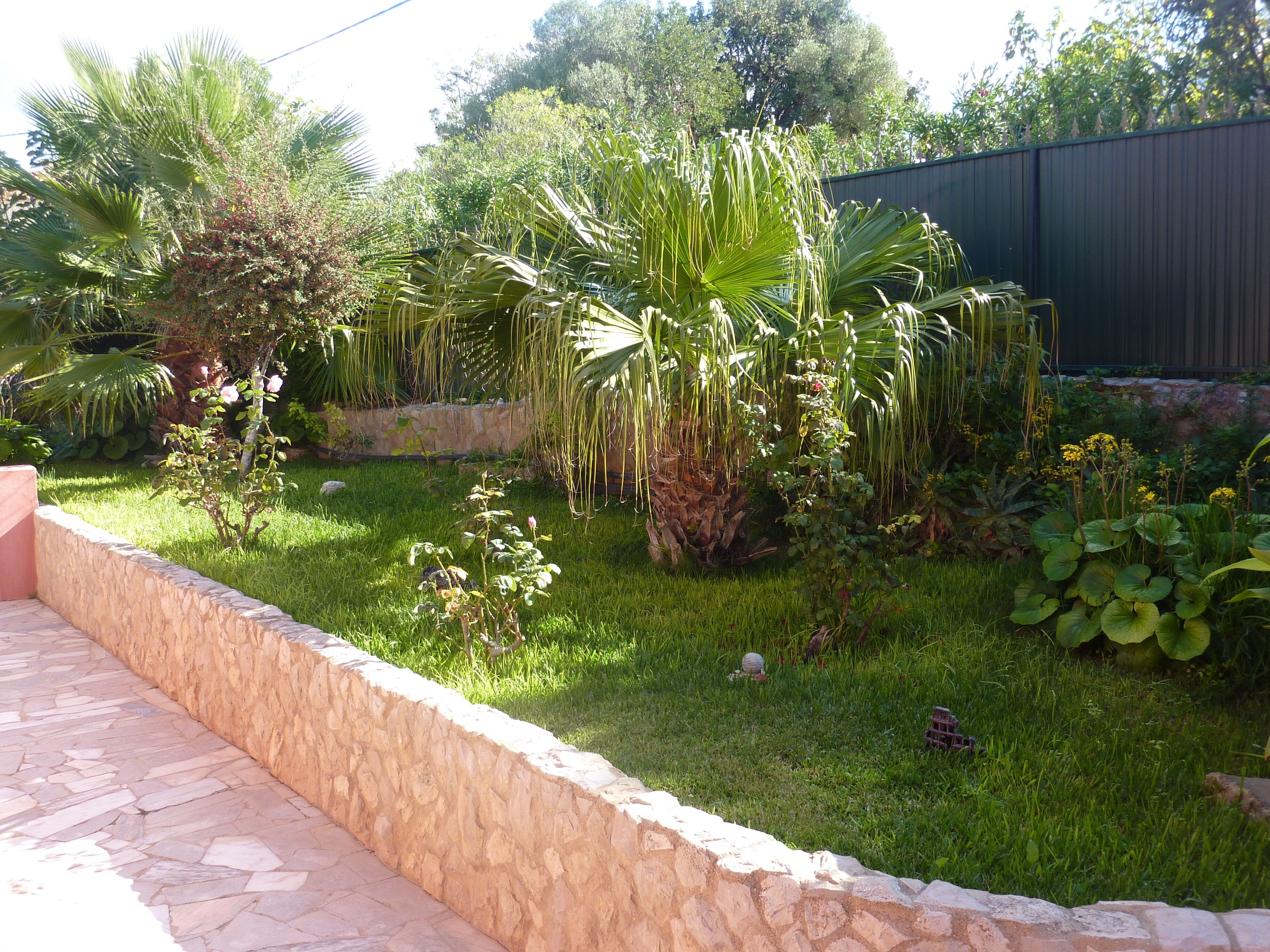 A garden with a stone wall, various plants, and a fence.