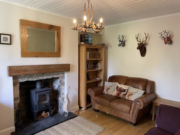 تلفزيون، مدفأة