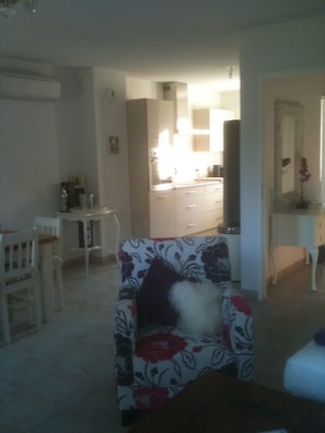 TV, DVD player, ping pong, books