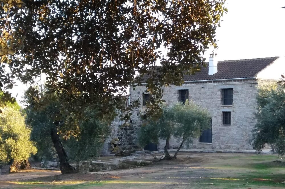 Las Olivas vineyard. Fully independent house located in Andujar.