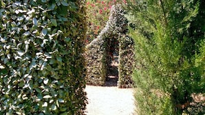 A garden pathway surrounded by dense foliage and a variety of plants.