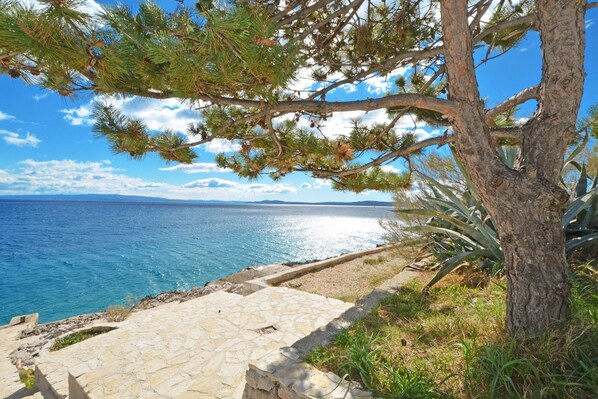 A coastal pathway with stone steps leading to a beach, surrounded by pine trees and a clear blue sea.