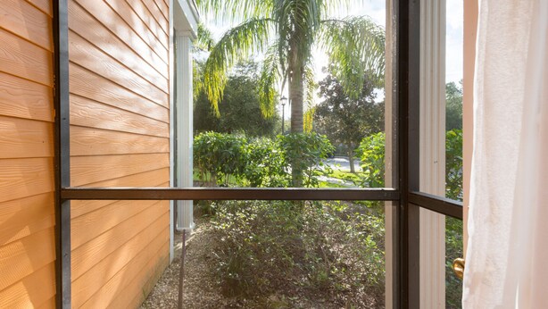 A window with a view of a garden with a palm tree and other greenery. - Bahama Bay, Florida 2 Br large condominium (Davenport)