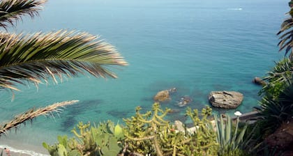 Sustainable Comfort Studio Apartment in Nature Calm Views huge Garden Salt Pool