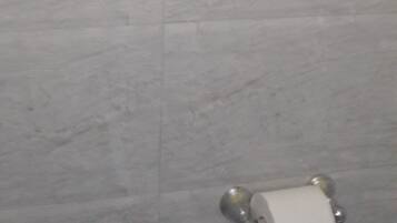 A bathroom with a grab bar, a toilet paper holder, and a marble wall.