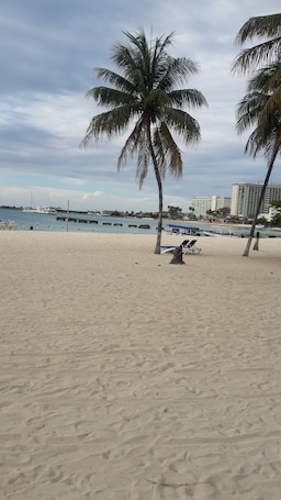Una playa cerca
