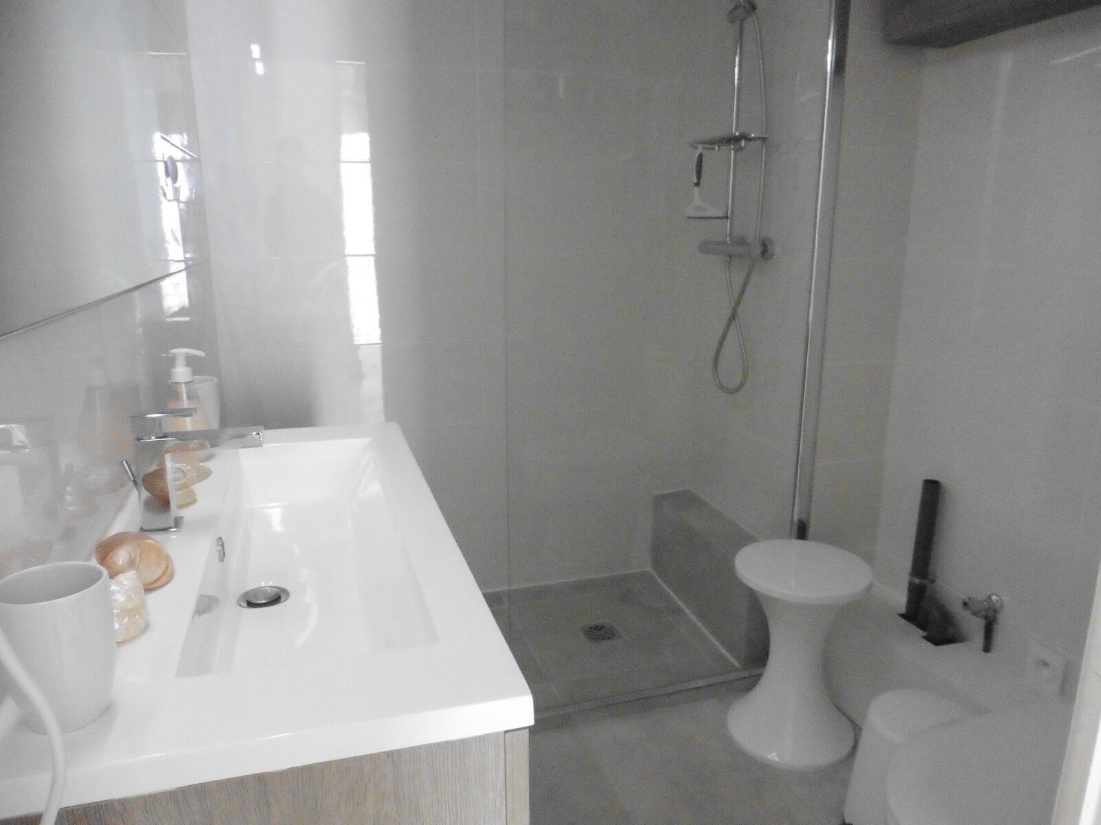 Shower, hair dryer
