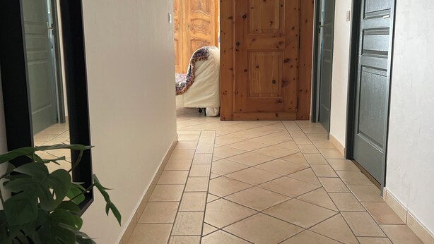 Un couloir avec un sol carrelé, une plante en pot et une porte en bois à l’arrière-plan.