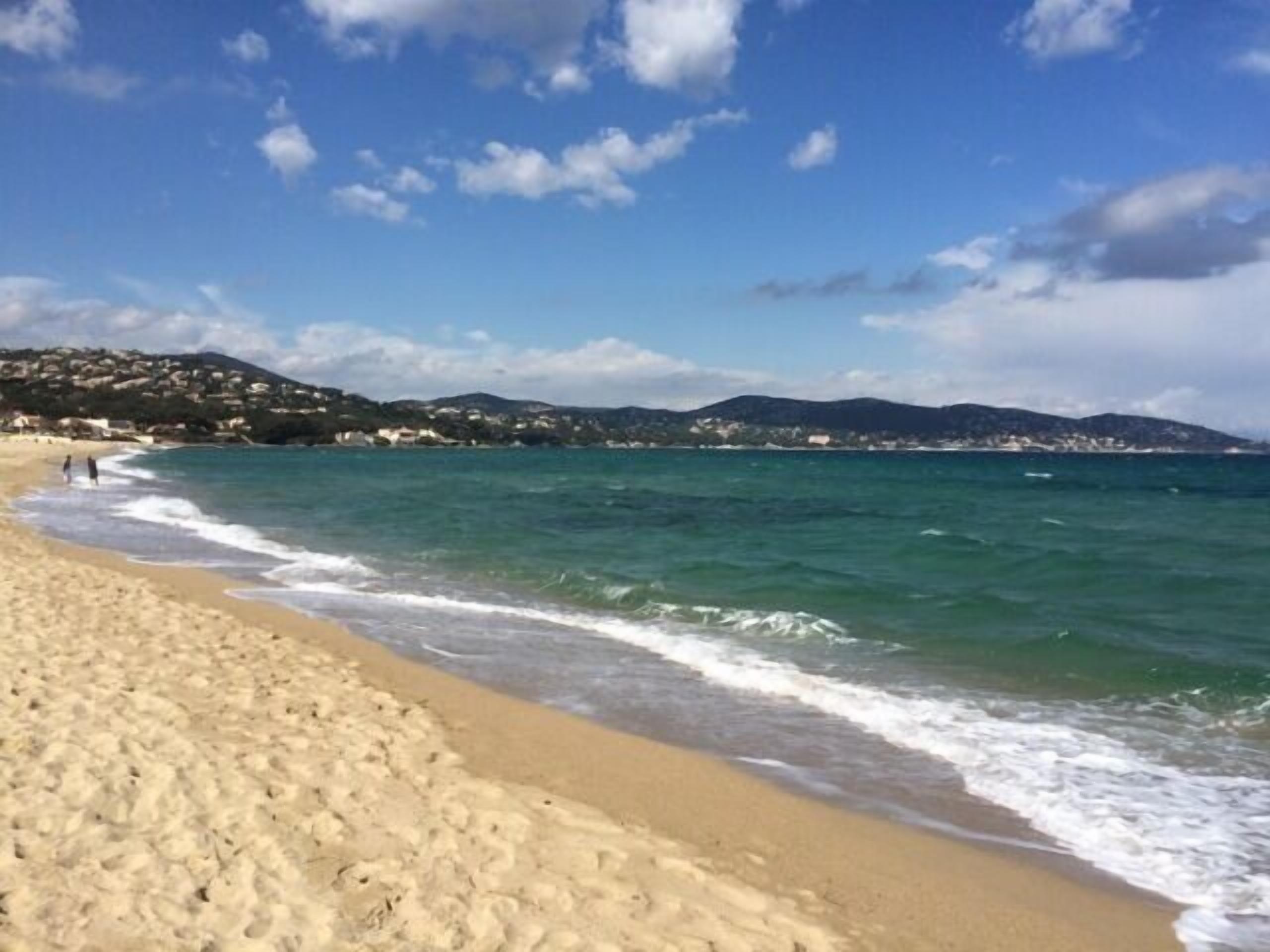 在海灘附近、躺椅