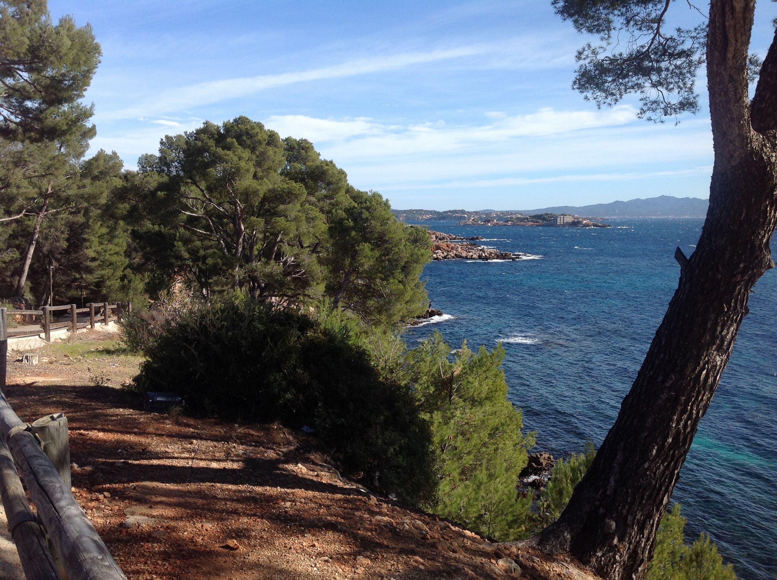 Un paysage côtier avec un sentier de terre, des arbres et une vue sur la mer et des bâtiments éloignés.