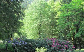Een weelderige tuin met dichte begroeiing en levendige bloemen, een heldere lucht, en een datumaanduiding van 16/06/2013.