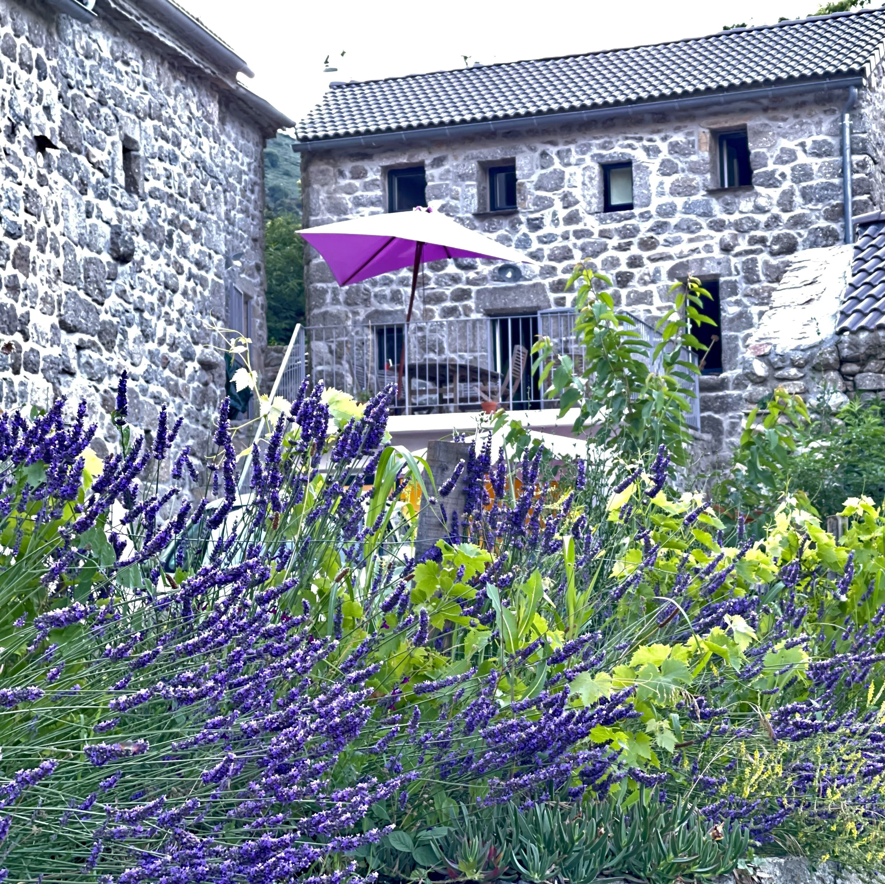 A stone building with a tiled roof and a purple umbrella.
