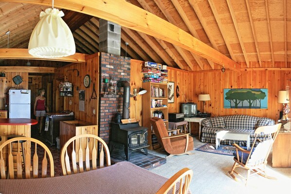 Smart TV, fireplace, video games, DVD player