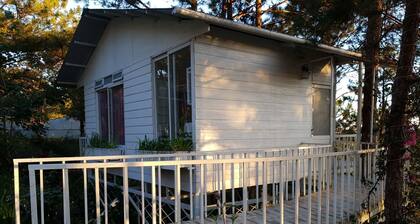 Lovely Treehouse with 2 queen beds, restroom, small kitchen, balcony forest view