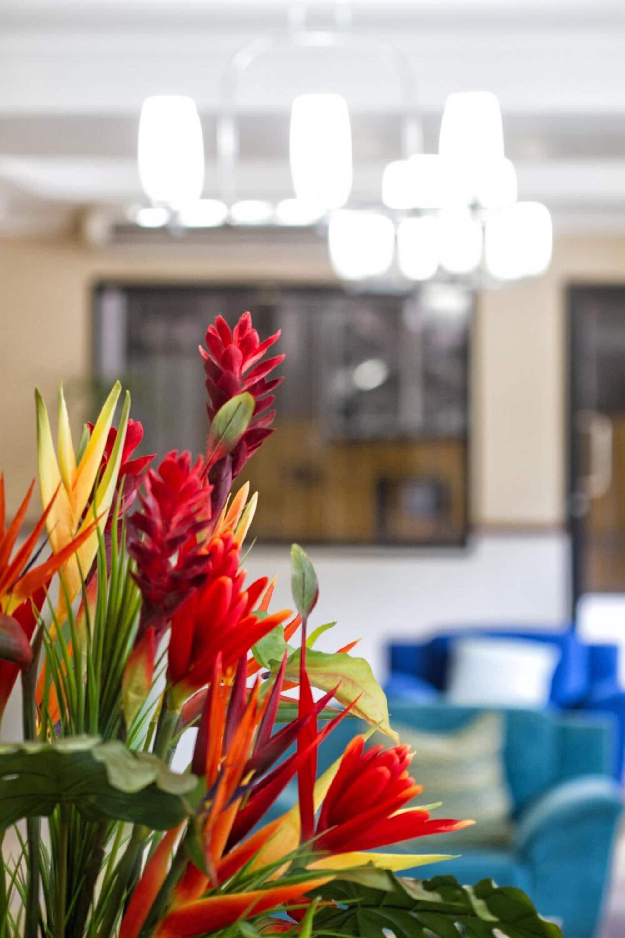 breakfast, lunch and dinner served