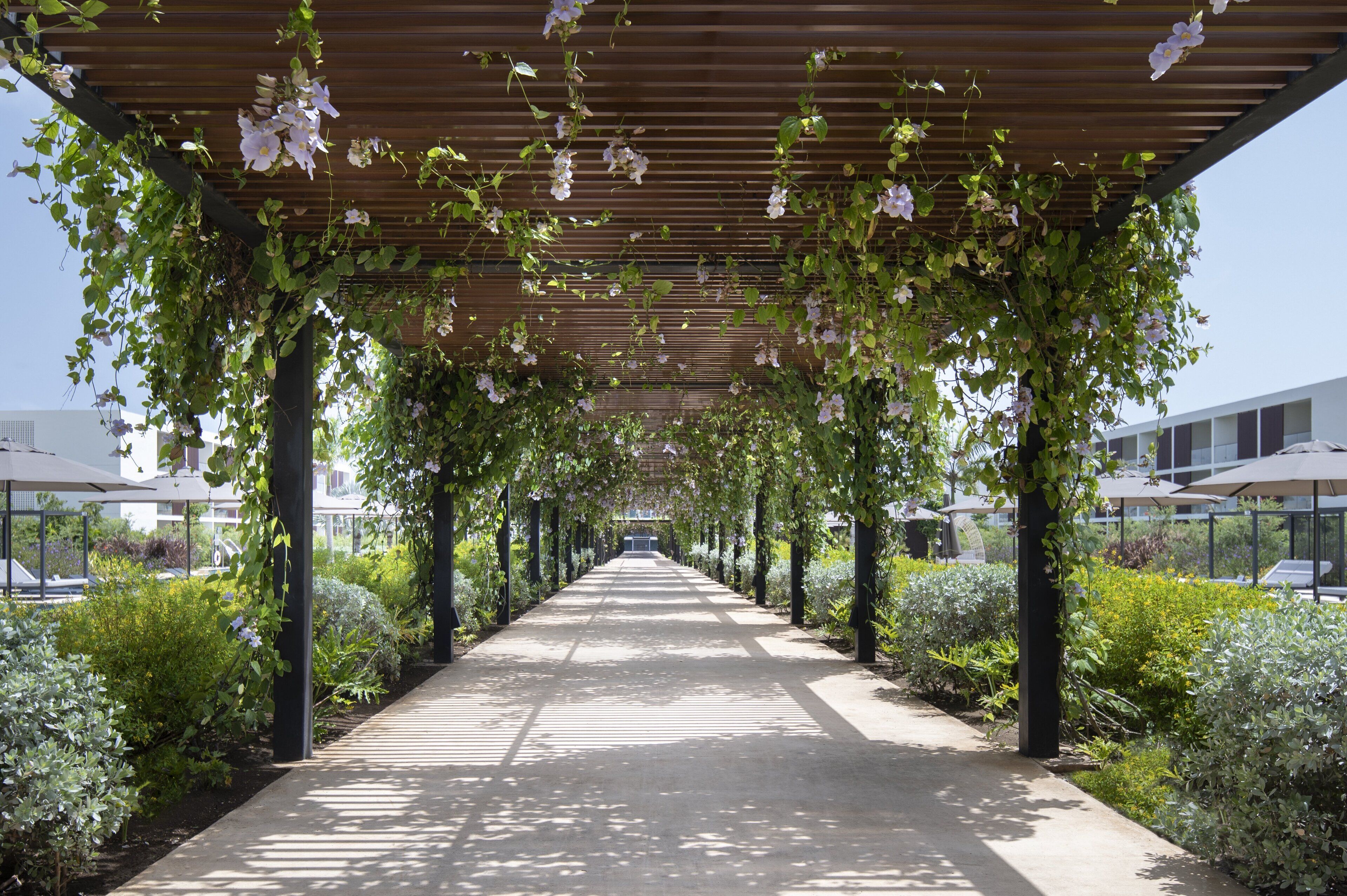 A covered walkway with a wooden ceiling, surrounded by greenery and plants.