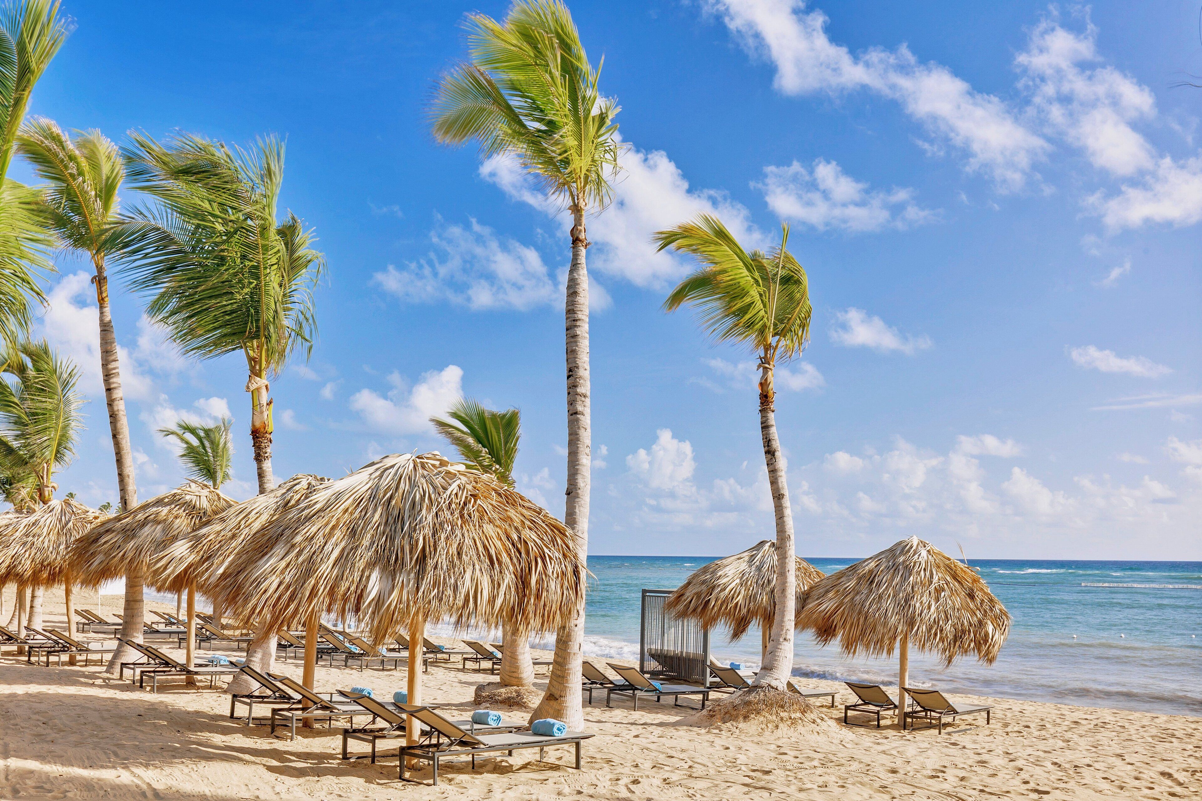 Una playa con palmeras, tumbonas y sombrillas de paja.