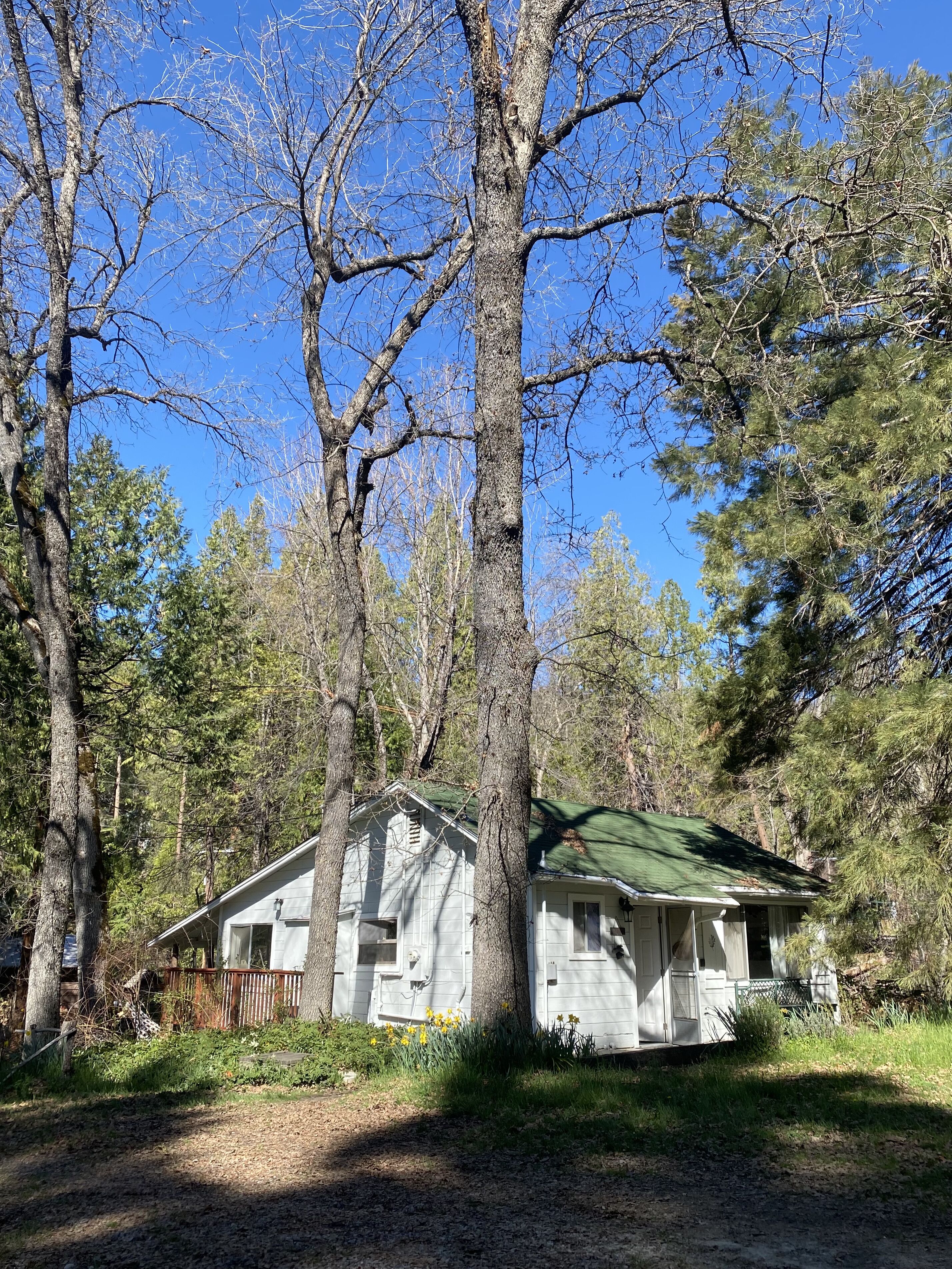 Creekside Cabin near Yosemite