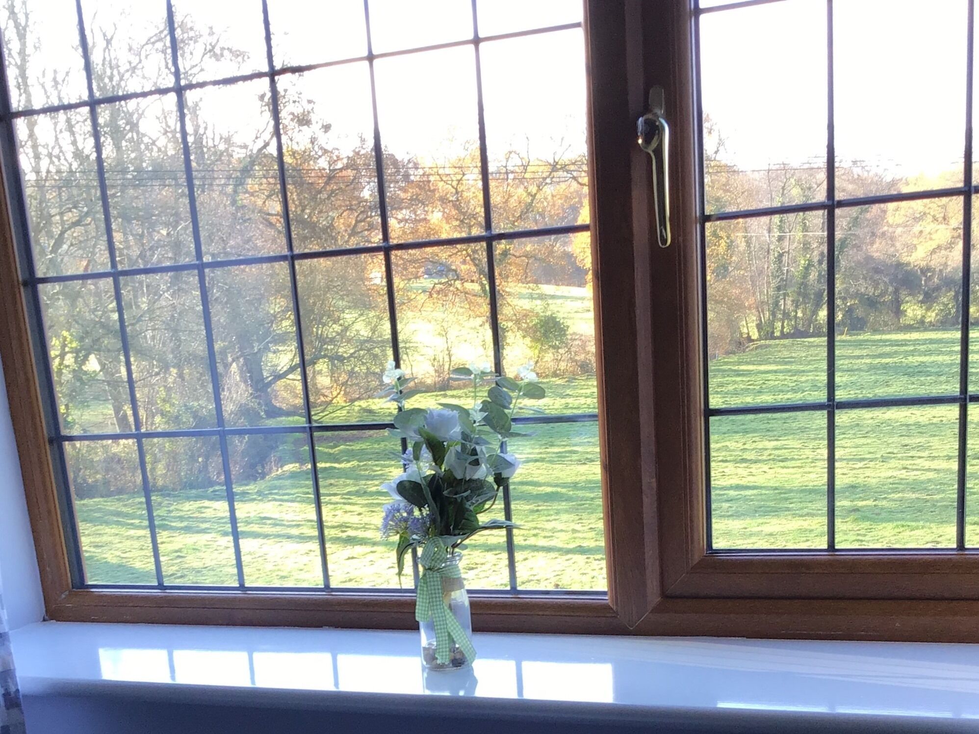 A window with a view of a grassy field and trees.