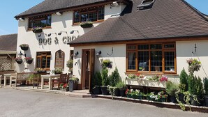 Eksteriør