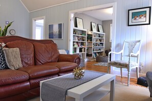 TV, DVD player, books, video library