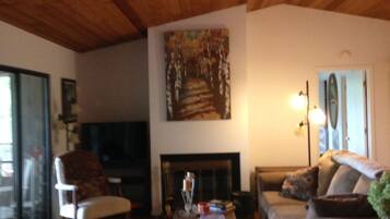 TV connectée, cheminée, lecteur de DVD, livres