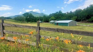 A rural landscape with a wooden fence, orange flowers, and a green building in the distance. - The Farm House at Peaks of Otter Winery and Orchards (Bedford)