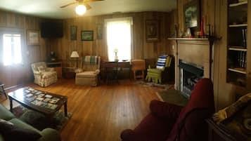 Smart TV, chimenea, reproductor de DVD y libros